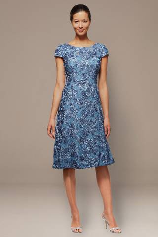 Picture of Petite A-Line Applique Dress with Cap Sleeves